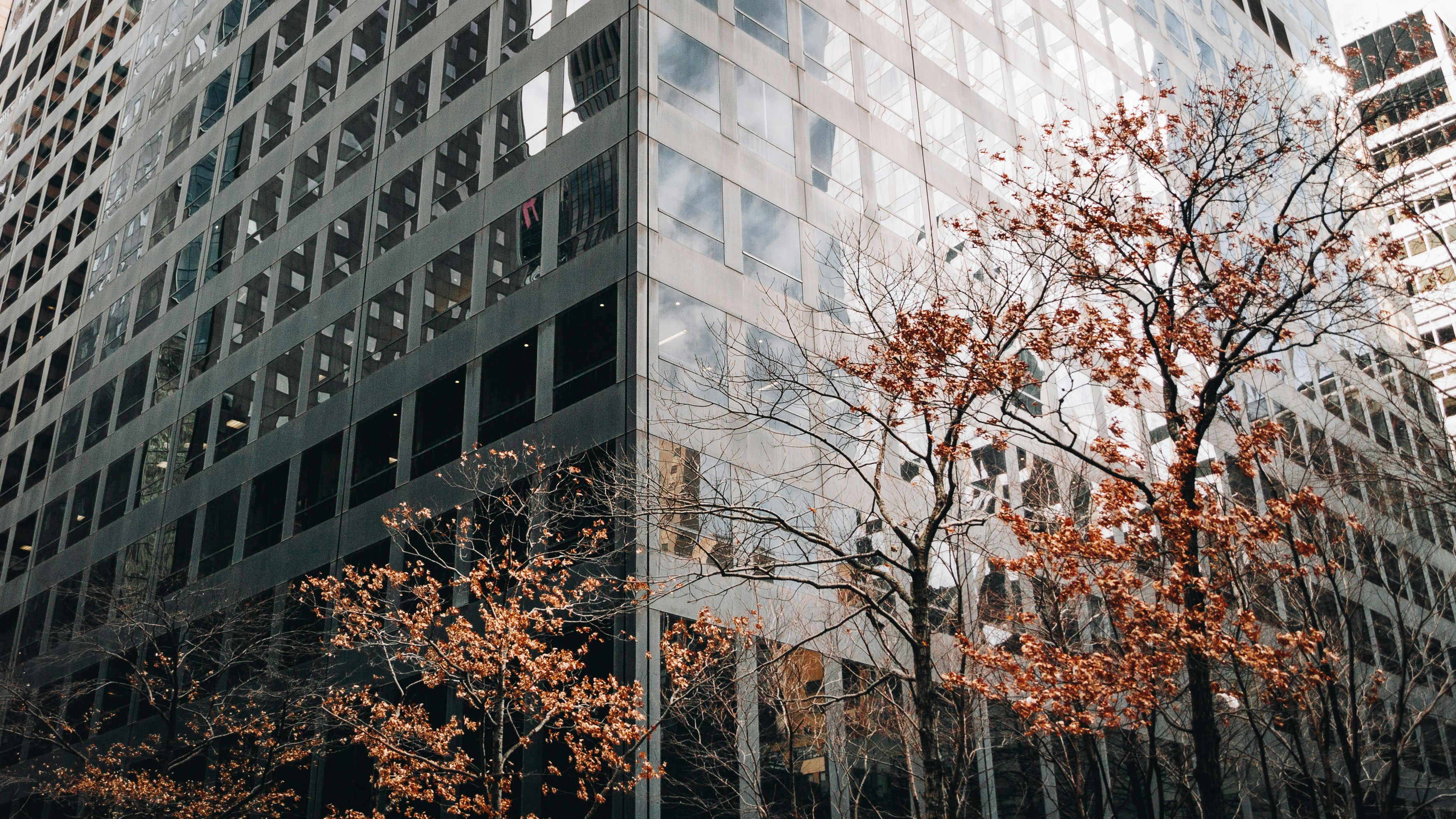 Modern office building